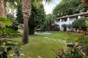 米迪克卡比拉酒店的棕榈树和房子的花园