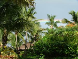 阿尔比恩Maya-Abiki Mauritius的一群棕榈树在房子前面