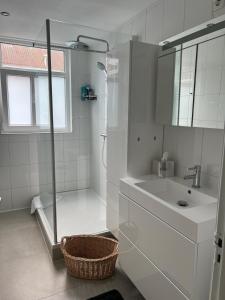 鹿特丹Central Suite Rotterdam的白色的浴室设有水槽和淋浴。