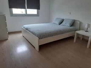 尼科西亚Modern Suite, XL balcony, parking的一间卧室配有一张带两个枕头的床