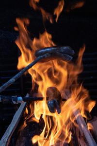 格雷兴Baumzelte Robis Waldspielpark的一只热狗在烤架上燃烧火焰