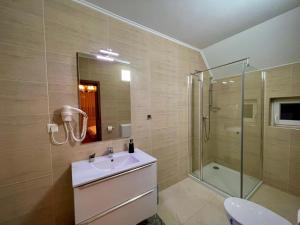 卡夫尼克Casa Iulian的一间带水槽和淋浴的浴室
