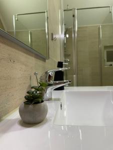 卡夫尼克Casa Iulian的浴室设有水槽,上面有植物