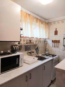 豪伊杜索博斯洛Emmy Apartman的厨房配有水槽和微波炉