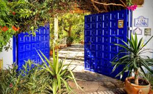 奥尔希瓦卡萨贾斯敏酒店的花草花园中的蓝色门