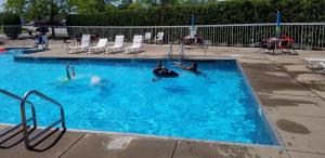 伊利Clarion Pointe by Choice Hotel的两个人在游泳池游泳