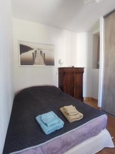 巴斯洛内特Appartement dans une villa au cœur de la ville的一间卧室配有一张床,上面有两条毛巾