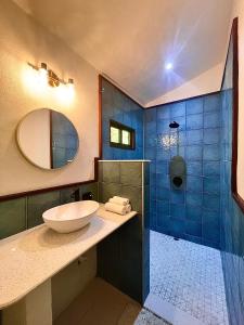 多米尼克Rio Lindo Hotel的一间带水槽和淋浴的浴室