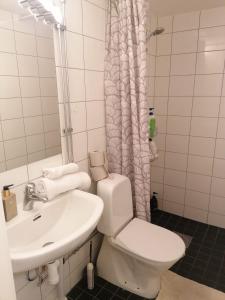 厄勒布鲁Ett rums lägenhet med egen ingång, parkering的一间带卫生间和水槽的浴室