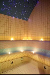 波罗维茨Lodge Euphoria Apartment的浴室设有天花板上的星星瓷砖墙