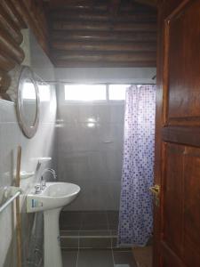 Colonia Las RosasCABAÑAS LAS ACACIAS的一间带水槽和淋浴的浴室