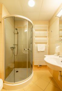 莫雄马扎尔古堡特玛尔水疗酒店的带淋浴和盥洗盆的浴室