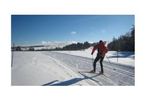 ConliègeChambre paisible avec vue sur la montagne的一个人在雪中越野滑雪
