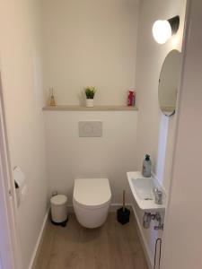 赫拉尔兹贝亨Q Geraardsbergen的白色的浴室设有卫生间和水槽。