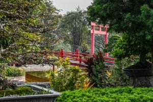 Suanphung Bonsai Village外面的花园