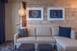圣地亚哥米申湾凯悦水疗酒店及码头的客厅配有沙发和墙上的照片