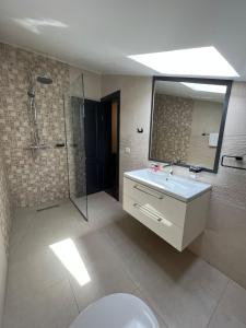 巴克乌Noblesse Bacău的一间带水槽、淋浴和卫生间的浴室
