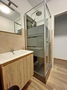 沙勒罗瓦tirou 5 centre Brussels-charleroi-airport的一间带水槽和玻璃淋浴的浴室