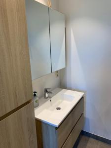赫拉尔兹贝亨Q Geraardsbergen的浴室设有白色水槽和镜子