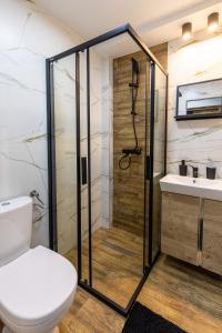 斯克拉斯卡波伦巴Apartament Sarenka的带淋浴、卫生间和盥洗盆的浴室