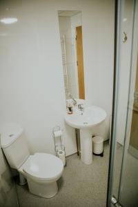DaliburghUist Travel Accommodation的一间带卫生间和水槽的浴室