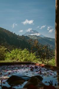 PatateNalanda Casa de Montaña的山景热水浴池