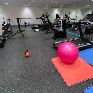 马斯喀特Luxury apartment in Muscat Hills的一个带粉红色球和健身器材的健身房