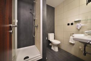 新博尔博尔诺维莫里斯公园酒店的带淋浴、卫生间和盥洗盆的浴室