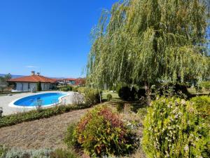 科沙利萨Bay View Villas/Rada的一座花园,花园内种有树木,并设有一个游泳池