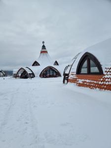 弗勒希察Hunnia - Huntanya的雪中的一组圆顶