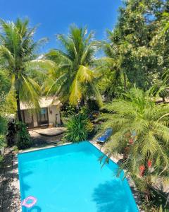 嘎林海斯港Exclusive Guest House的一座种植了棕榈树的蓝色游泳池