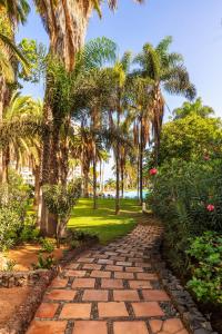 拉克鲁斯Precise Resort Tenerife的一条穿过棕榈树公园的砖路
