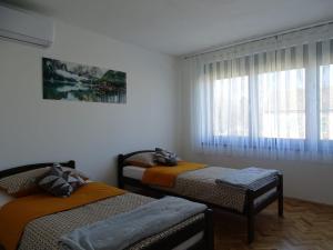 NovskaApartman Dabrović的带窗户的客房内设有两张单人床。
