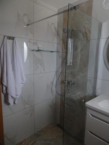 NovskaApartman Dabrović的带淋浴的浴室和玻璃门