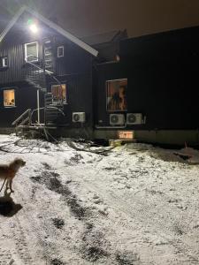 莫斯Ny Hybel leilighet med eget bad og egen inngang的狗在建筑物前雪中行走