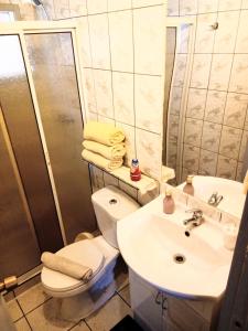 巴拉斯港CABAÑA EN PUERTO VARAS的浴室配有卫生间、盥洗盆和淋浴。