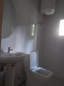 Old YundumMuhammed Ceesay Villa的白色的浴室设有水槽和卫生间。
