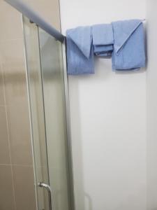安东尼奥港Comfy Guest Rooms的把蓝色毛巾挂在淋浴门上