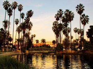 洛杉矶Silverlake and Echo Park - 6min to Downtown and Hollywood -的棕榈树和桥梁的水池