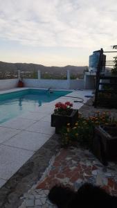 维拉卡洛斯帕兹El Chañar的一座花卉游泳池,位于房子的一侧