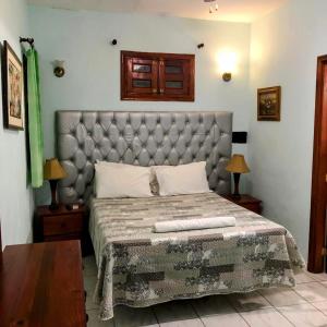 圣多明各Hotel Aluge的一间卧室配有一张大床和软垫床头板