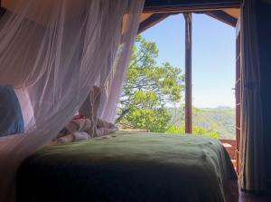 塞吉菲尔德特尼卡树峰酒店的一间卧室设有一张带大窗户的天蓬床