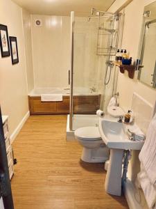 卡马森TY莫尔国家酒店 的浴室配有卫生间、盥洗盆和淋浴。