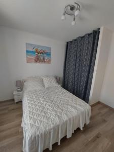 拉康提内勒A bâbord : maison chaleureuse à 300m de la plage的卧室配有一张床,墙上挂有绘画作品