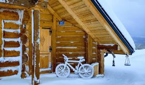 米卢夫卡Villa Beskid的停在雪地小屋外的自行车