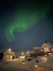 SkarsvågCape Marina Lodge的夜晚在雪中,在房子上方的极光
