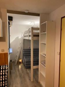 雷莱克斯Charmant appartement au pied des pistes de Lelex的带双层床和梯子的客房