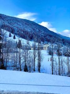 雷莱克斯Charmant appartement au pied des pistes de Lelex的一座有树木的雪覆盖的山丘,一座房子