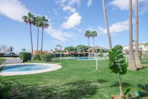 奇克拉纳－德拉弗龙特拉Laja Bermeja, piscina y primera línea de La Barrosa的一个带游泳池和棕榈树的公园