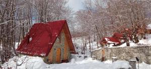 科拉欣Holiday Home Sofija的雪上有红色屋顶的小教堂